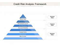 Credit risk analysis framework