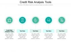 Credit risk analysis tools ppt powerpoint presentation gallery template