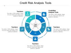 Credit risk analysis tools ppt powerpoint presentation portfolio elements cpb