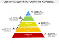 Credit risk assessment pyramid with ownership and governance