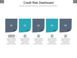Credit risk dashboard ppt powerpoint presentation summary portrait cpb