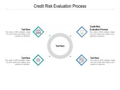 Credit risk evaluation process ppt powerpoint presentation gallery layouts cpb