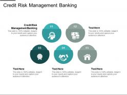 Credit risk management banking ppt powerpoint presentation gallery ideas cpb