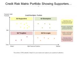 Credit risk matrix portfolio showing supporters and exemplars