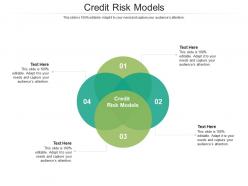 Credit risk models ppt powerpoint presentation infographic template sample cpb