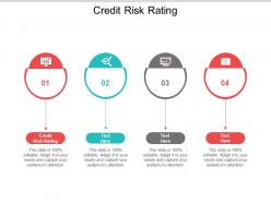 Credit risk rating ppt powerpoint presentation styles example cpb