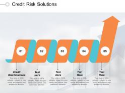 Credit risk solutions ppt powerpoint presentation infographic template structure cpb