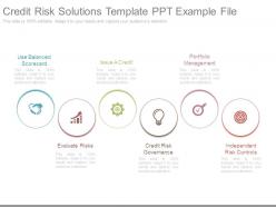 Credit risk solutions template ppt example file