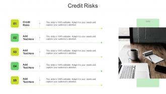 Credit Risks In Powerpoint And Google Slides Cpb