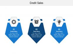 Credit sales ppt powerpoint presentation gallery inspiration cpb
