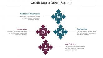 Credit Score Down Reason Ppt Powerpoint Presentation Slides Summary Cpb