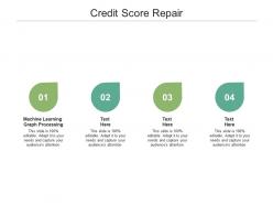 Credit score repair ppt powerpoint presentation portfolio vector cpb