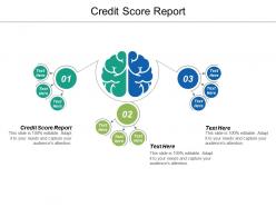 Credit score report ppt powerpoint presentation icon outline cpb
