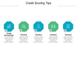 Credit scoring tips ppt powerpoint presentation show skills cpb