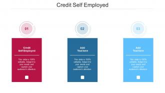 Credit Self Employed In Powerpoint And Google Slides Cpb
