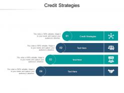 Credit strategies ppt powerpoint presentation gallery shapes cpb