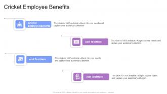 Cricket Employee Benefits In Powerpoint And Google Slides Cpb