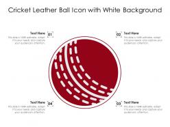 Cricket leather ball icon with white background