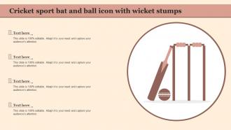 Cricket Sport Bat And Ball Icon With Wicket Stumps