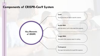 CRISPR Cas9 Gene Editing Mechanism And Applications Overview PPT Demonstration AT Impactful Attractive