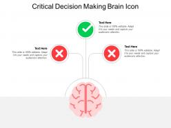 Critical decision making brain icon