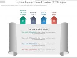 Critical Issues Internal Review Ppt Images
