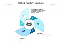 Critical quality example ppt powerpoint presentation icon guide cpb
