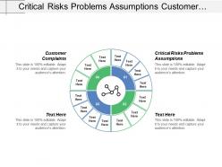 Critical risks problems assumptions customer complaints process controls