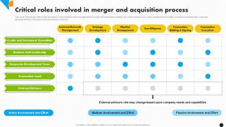 Critical Roles Involved In Merger And Integration Strategy For Increased Profitability Strategy Ss