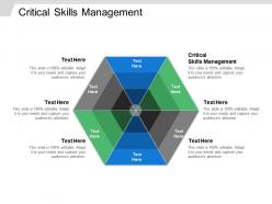 Critical skills management ppt powerpoint presentation gallery format cpb