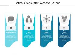 Critical steps after website launch ppt powerpoint presentation show microsoft cpb