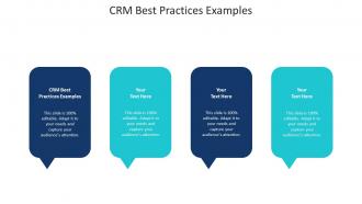 CRM Best Practices Examples Ppt Powerpoint Presentation Slides Portfolio Cpb