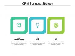 Crm business strategy ppt powerpoint presentation styles inspiration cpb