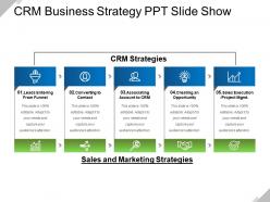 Crm business strategy ppt slide show
