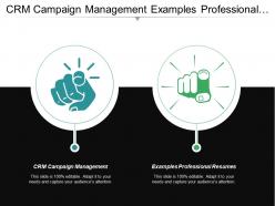 Crm campaign management examples professional resumes professional resumes cpb