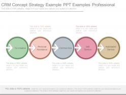 Crm concept strategy example ppt examples professional