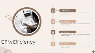 CRM Efficiency In Powerpoint And Google Slides Cpb