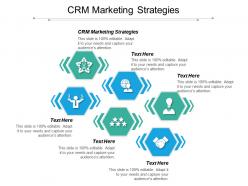 Crm marketing strategies ppt powerpoint presentation gallery gridlines cpb