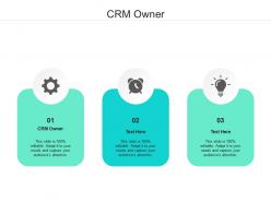 Crm owner ppt powerpoint presentation pictures graphics example cpb