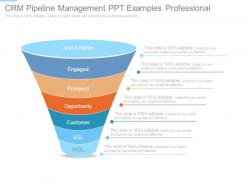 Crm pipeline management ppt examples professional