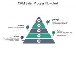 Crm sales process flowchart ppt powerpoint presentation professional images cpb