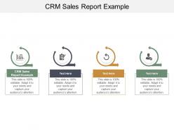 Crm sales report example ppt powerpoint presentation icon pictures cpb