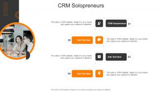 Crm Solopreneurs In Powerpoint And Google Slides Cpb