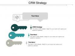 Crm strategy ppt powerpoint presentation icon portfolio cpb