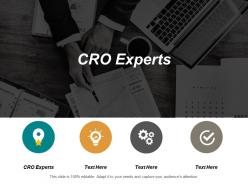 Cro experts ppt powerpoint presentation infographics portfolio cpb