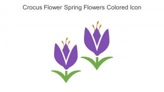 Crocus Flower Spring Flowers Colored Icon In Powerpoint Pptx Png And Editable Eps Format