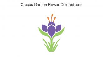 Crocus Garden Flower Colored Icon In Powerpoint Pptx Png And Editable Eps Format