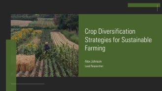 Crop Diversification Strategies For Sustainable Farming PPT Slides AT