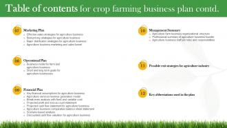 Crop Farming Business Plan Powerpoint Presentation Slides Attractive Idea