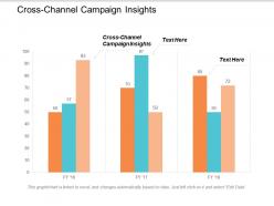 cross_channel_campaign_insights_ppt_powerpoint_presentation_styles_rules_cpb_Slide01